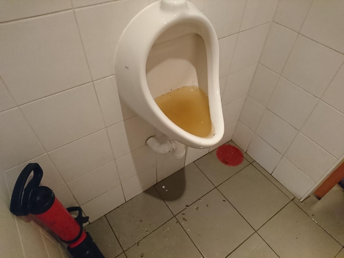 krtkovanie bratislava